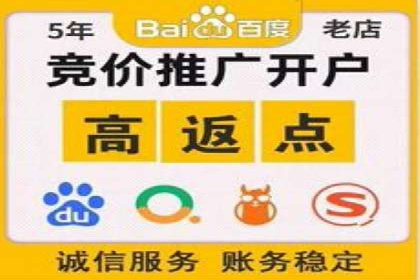百度推广的秘诀：以某电商平台的成功经验为例